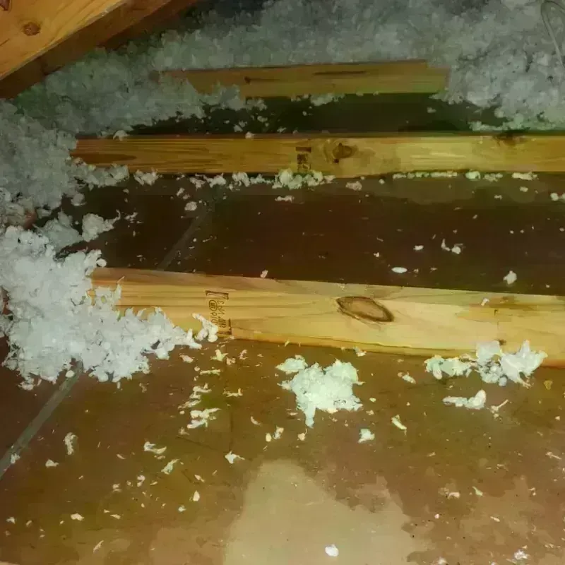 Attic Water Damage in Delhi, NY